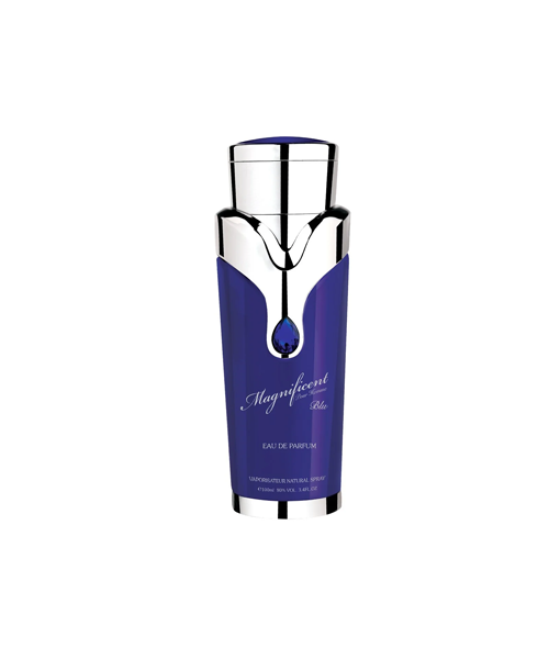 ARMAF MAGNEFICIENT BLU 100 ML